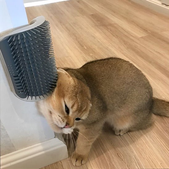 Brosse pour chat - HerbalCat™