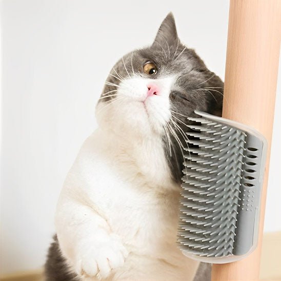 Brosse pour chat - HerbalCat™