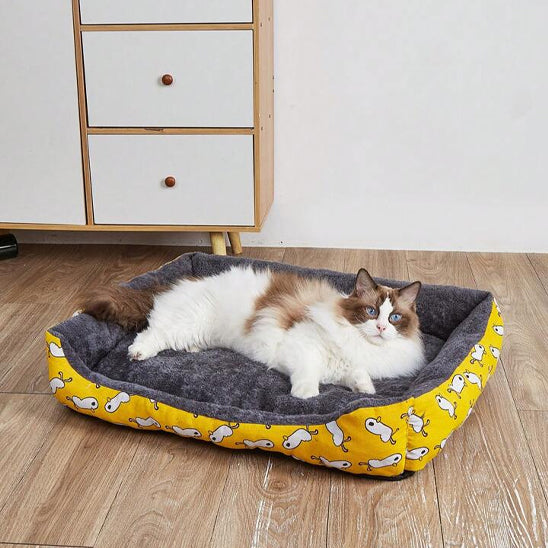panier-chat-moelleux