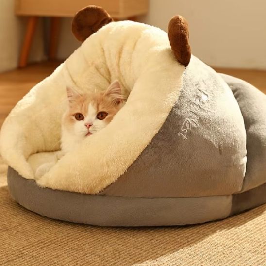 panier-chat-refuge