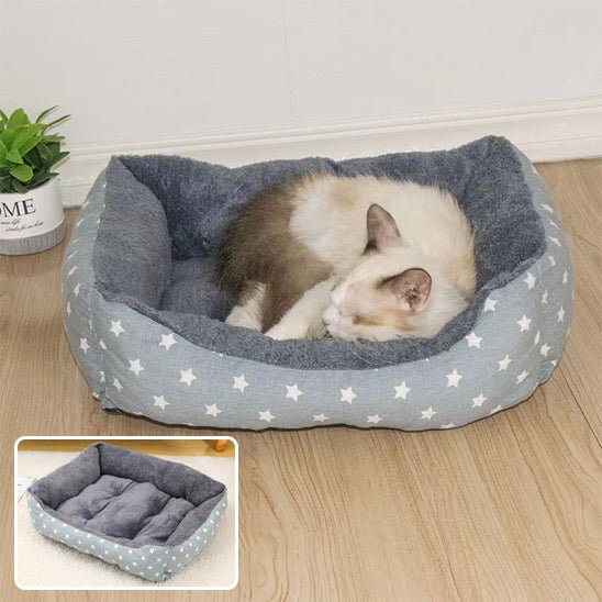panier-chat-étoile