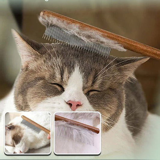 Brosse pour chat - anti-puce