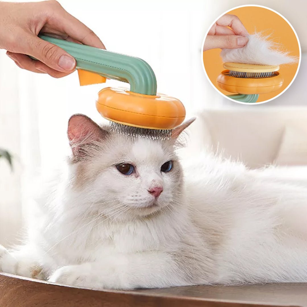 Brosse pour chat - Citrouille™