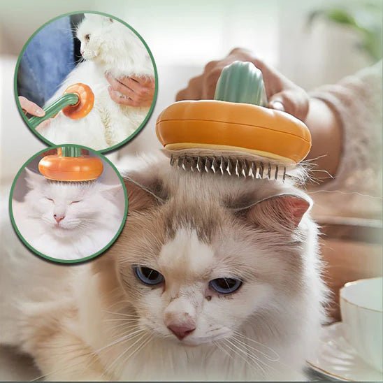 Brosse pour chat - Citrouille™