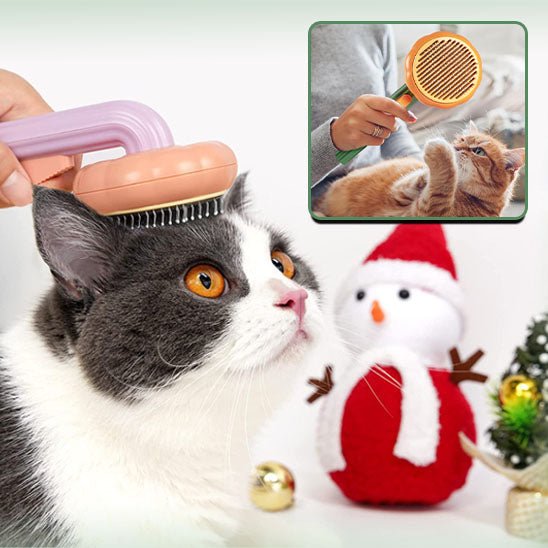 Brosse pour chat - Citrouille™