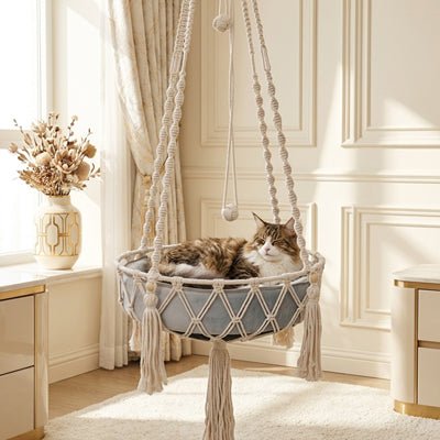 hamac-pour-chat-fixation-solide