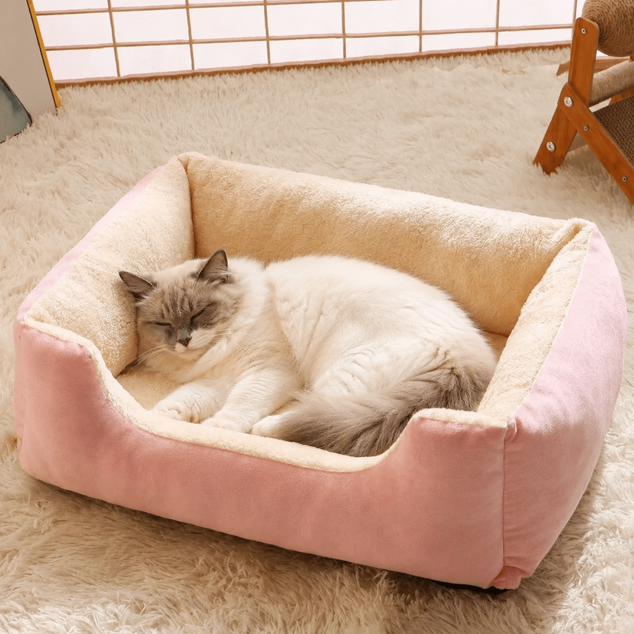 panier chat - Douillet™