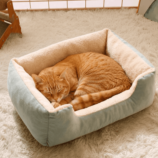 panier chat - Douillet™
