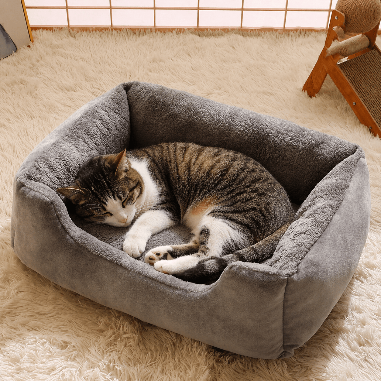 panier chat - Douillet™